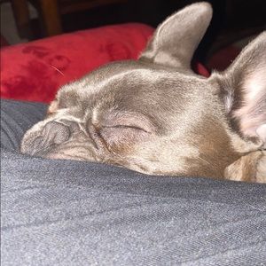 Meet your Posher, Aly